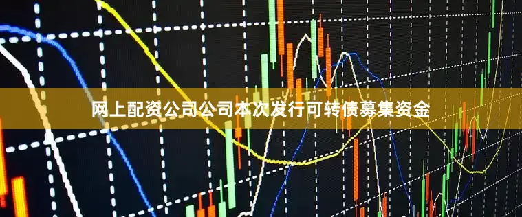 网上配资公司公司本次发行可转债募集资金