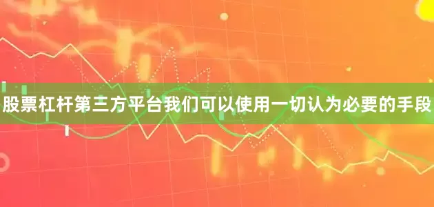 股票杠杆第三方平台我们可以使用一切认为必要的手段