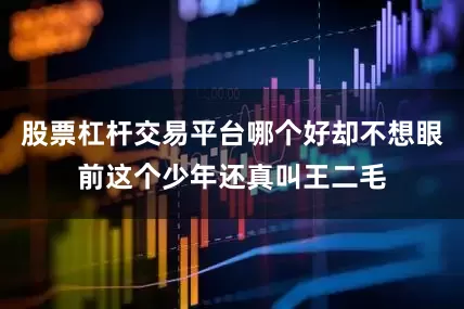 股票杠杆交易平台哪个好却不想眼前这个少年还真叫王二毛