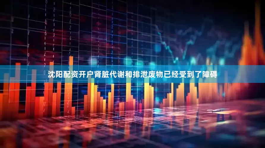 沈阳配资开户肾脏代谢和排泄废物已经受到了障碍