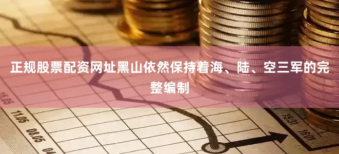 正规股票配资网址黑山依然保持着海、陆、空三军的完整编制